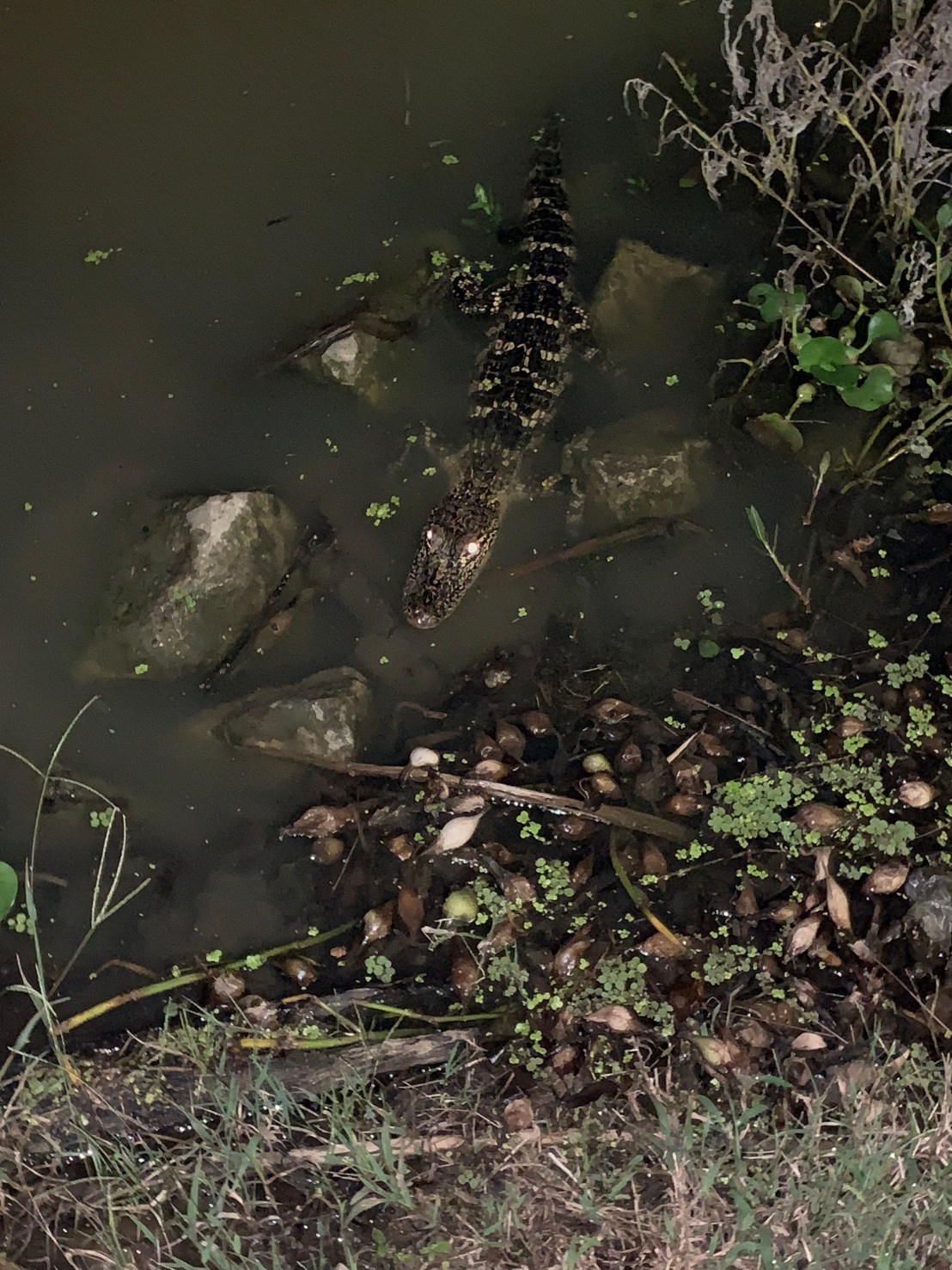 uyxCXNKERKmQbbUd8t5jVw